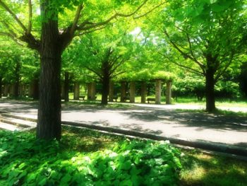 かずき造園