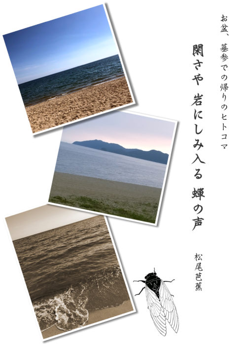 今年の夏