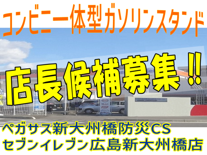 綜合エナジー株式会社（ペガサス新大州橋　防災CS）